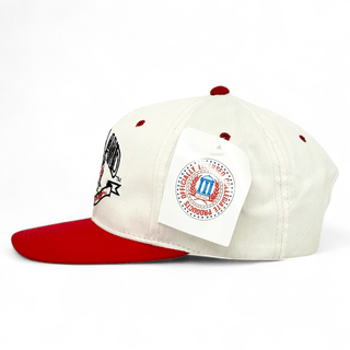Maryland Terrapins Snapback - Shells Vintage Hat Co.