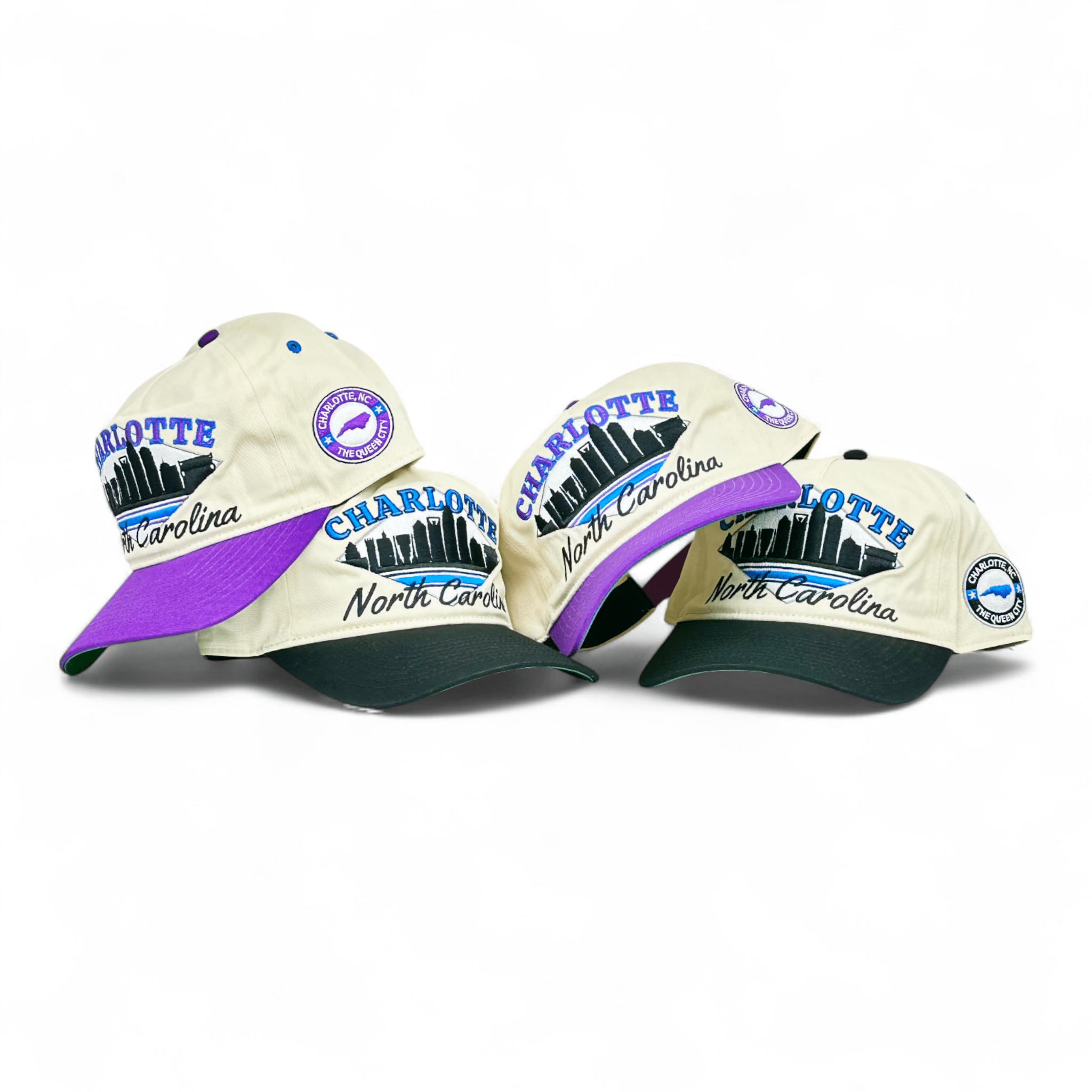 Classic Charlotte Snapbacks | Vintage Panthers and Hornets Designs ...