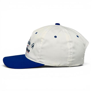 Dale Earnhardt Snapback