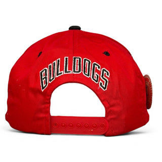 Georgia Bulldogs Snapback