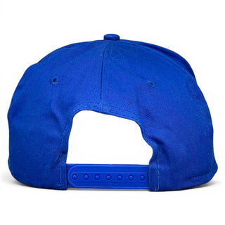 Dale Earnhardy 1998 NASCAR Busch Series Champion Snapback