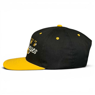 Iowa Hawkeyes Snapback