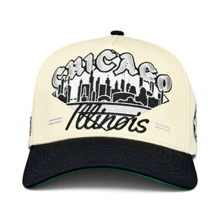 Chicago Snapback - The Comiskey