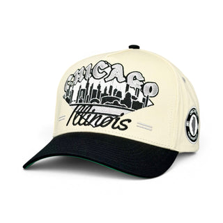 Chicago Snapback - The Comiskey