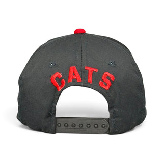 Arizona Wildcats Snapback