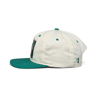 Miami Dolphins Snapback