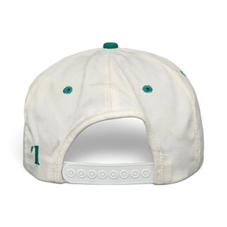Miami Dolphins Snapback