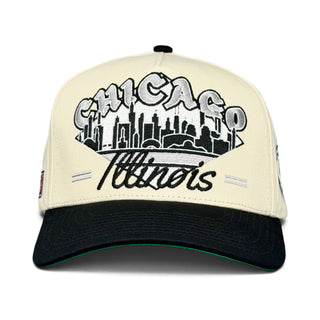Chicago Snapback - The Comiskey