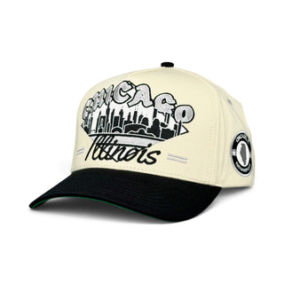 Chicago Snapback - The Comiskey