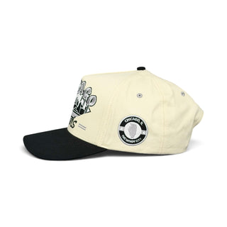 Chicago Snapback - The Comiskey