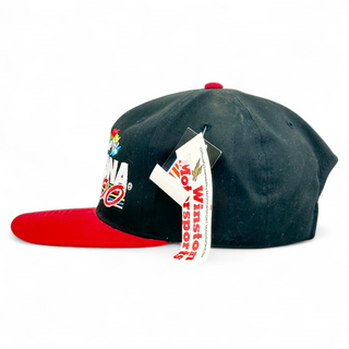 1995 Daytona 500 Snapback