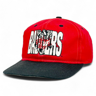 Wisconsin Badgers Snapback