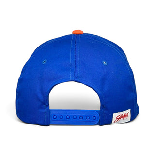 Florida Gators Snapback