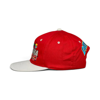 Daytona 500 Snapback