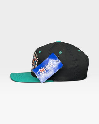 Super Bowl XXX Snapback