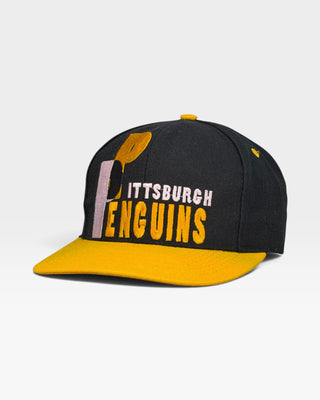 Pittsburgh Penguins Snapback