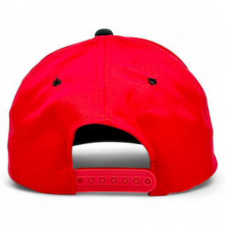 Atlanta Hawks Snapback