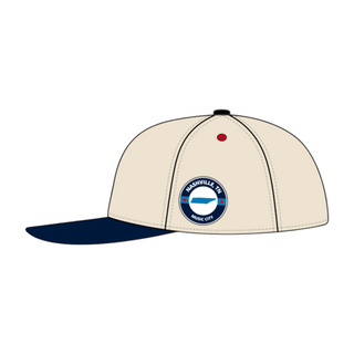 Nashville Snapback - The McNair