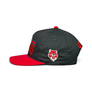 Arizona Wildcats Snapback - Shells Vintage Hat Co.
