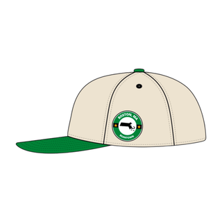 Boston Snapback - The Bird - Shells Vintage Hat Co.