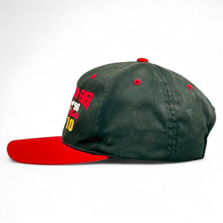 Chicago Bulls '95 - '96 Best Record Ever Snapback - Shells Vintage Hat Co.