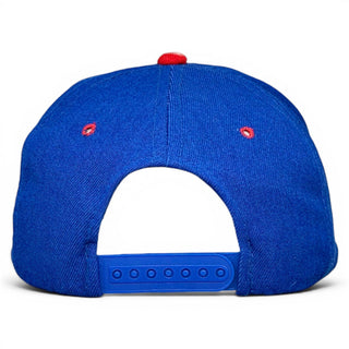 Chicago Cubs Snapback - Shells Vintage Hat Co.
