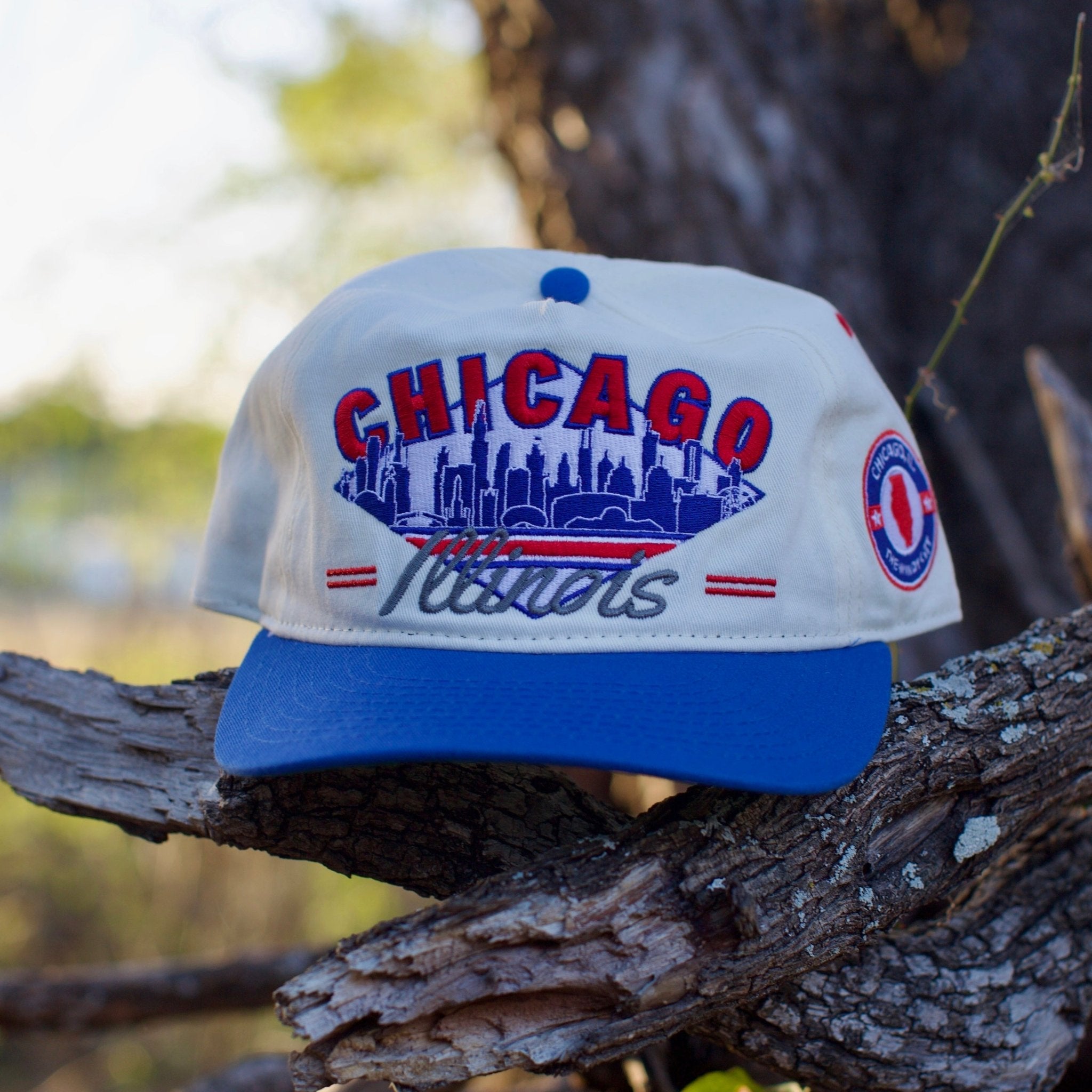 Retro Chicago Snapback Cubs Colors Vintage Style – Shells
