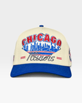 Chicago Snapback - The Wrigley