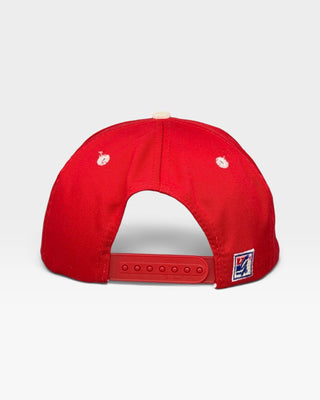Cincinnati Reds Snapback - Shells Vintage Hat Co.