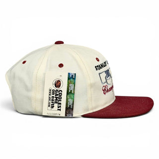 Colorado Avalanche 2001 Stanley Cup Champions Snapback - Shells Vintage Hat Co.