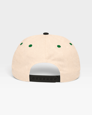 Dallas Snapback - The Modano - Shells Vintage Hat Co.