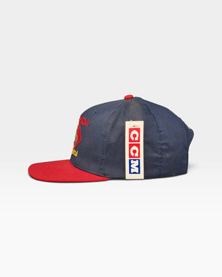Florida Panthers Snapback - Shells Vintage Hat Co.