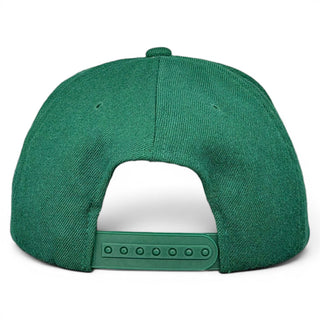 Green Bay Packers 1996 NFC Champions Snapback - Shells Vintage Hat Co.