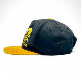 Iowa Hawkeyes Snapback - Shells Vintage Hat Co.