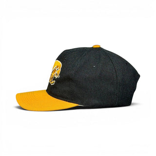 Iowa Hawkeyes Snapback - Shells Vintage Hat Co.
