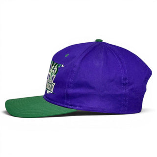 Milwaukee Bucks Snapback - Shells Vintage Hat Co.