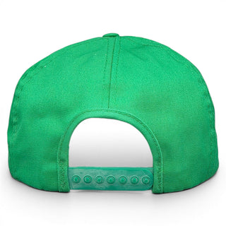 Purina Dog Chow Snapback - Shells Vintage Hat Co.