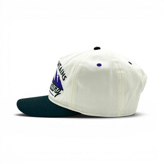The Mountains Are Calling Snapback - The Rocky - Shells Vintage Hat Co.