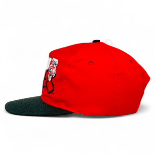 Wisconsin Badgers Snapback - Shells Vintage Hat Co.