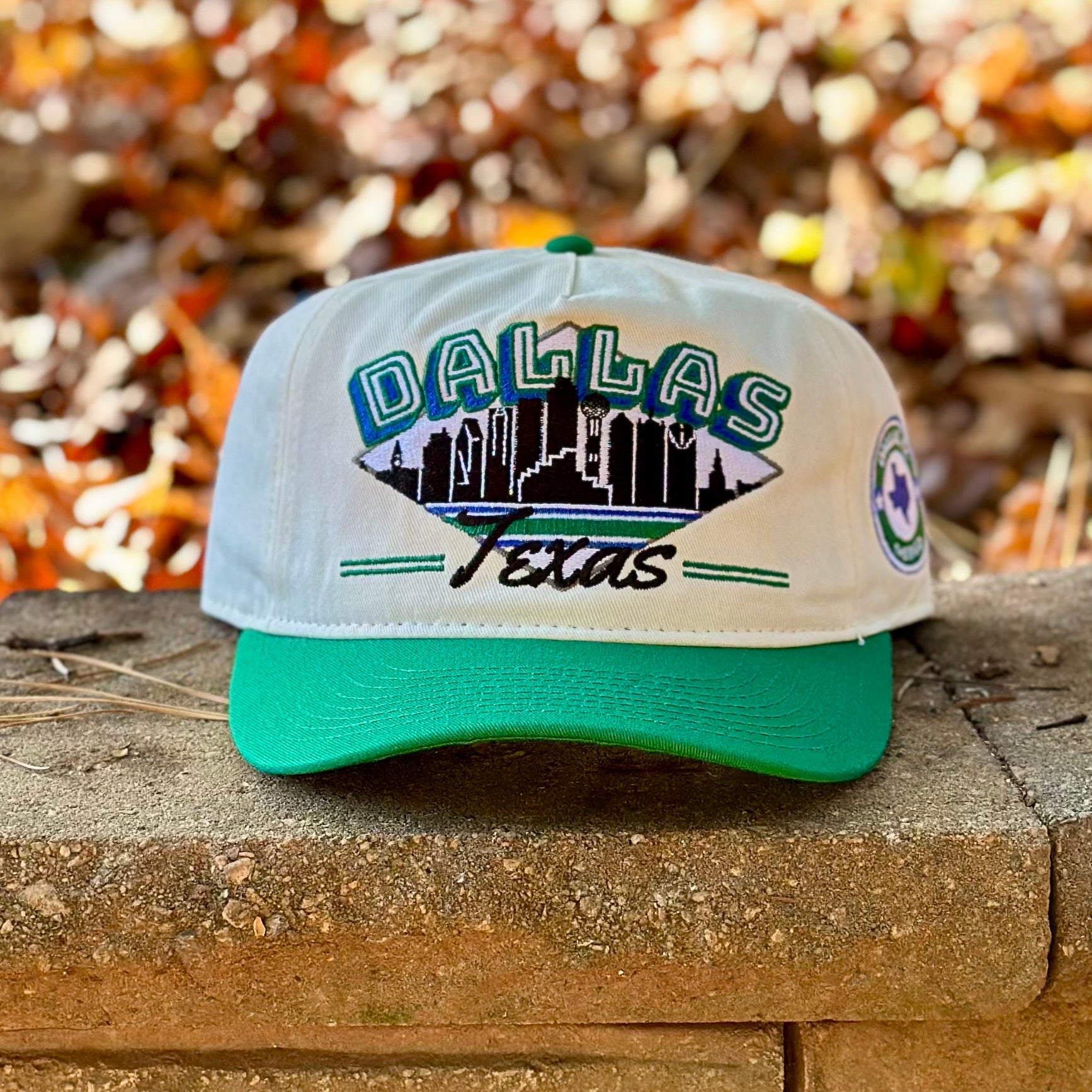 Vintage Dallas Mavericks Snapback  City Skyline – Shells Vintage Hat Co.