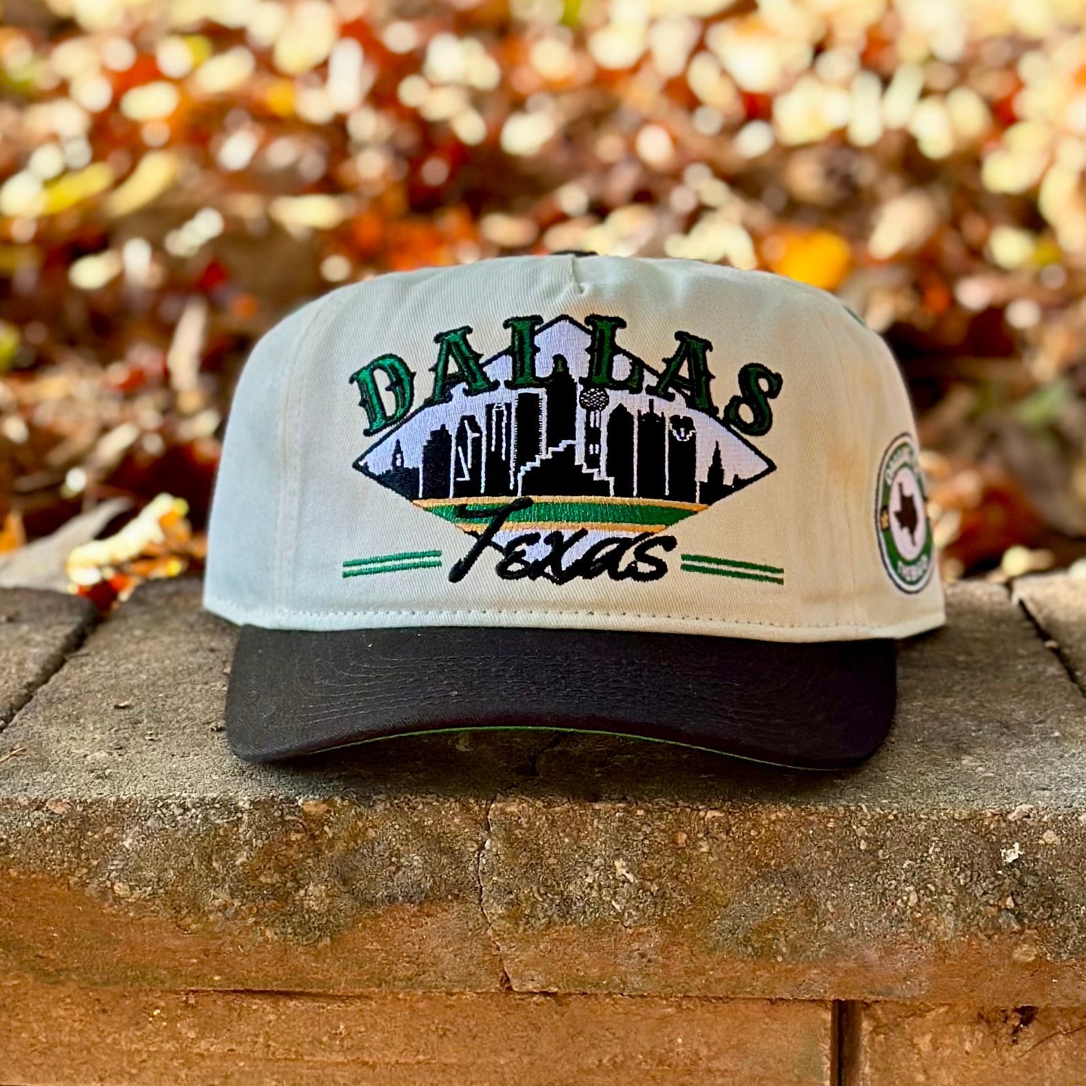 Retro Style Dallas Snapback Hat  Cowboys Colors – Shells Vintage
